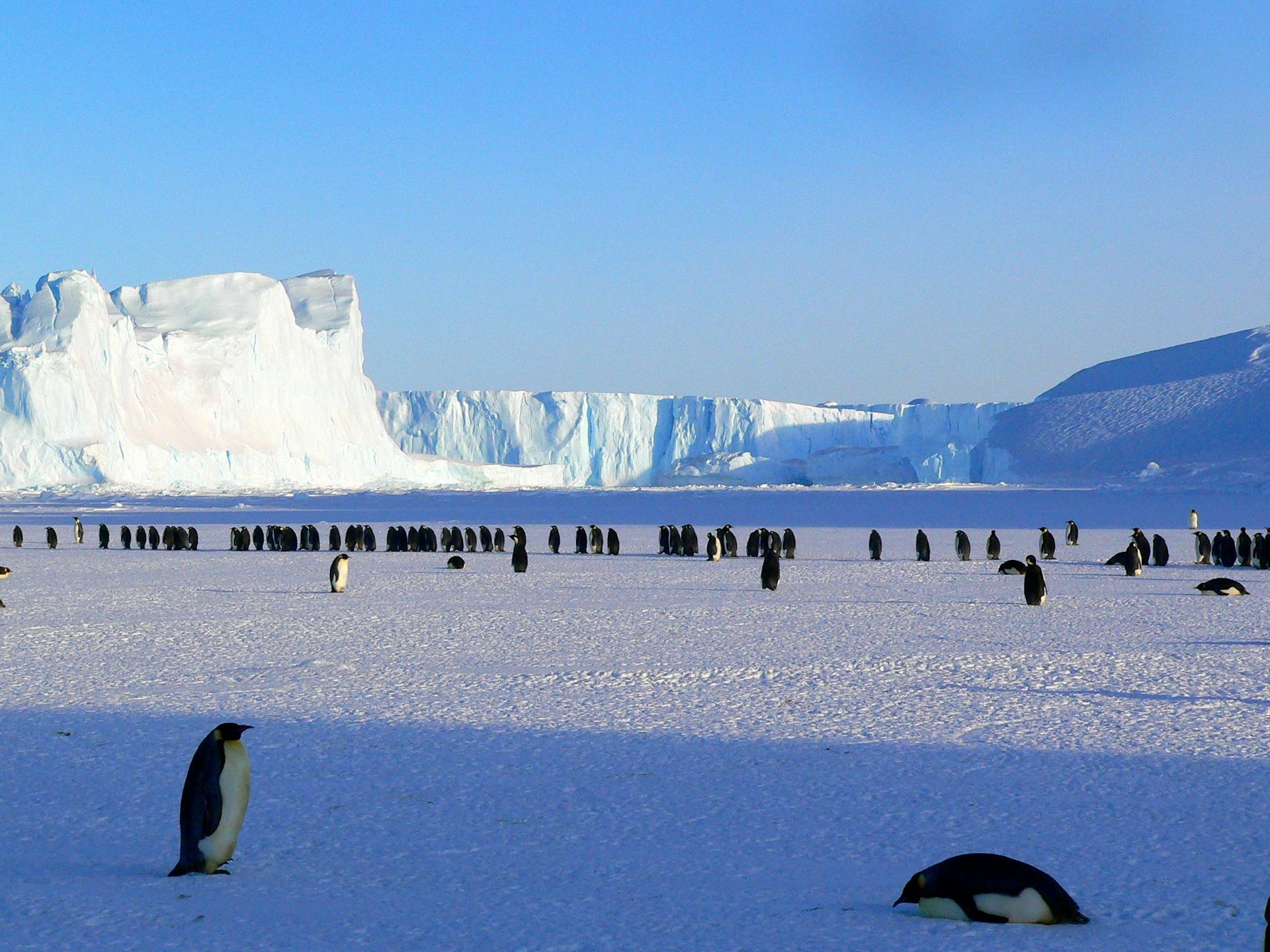 Adventure Republiq Antarctica