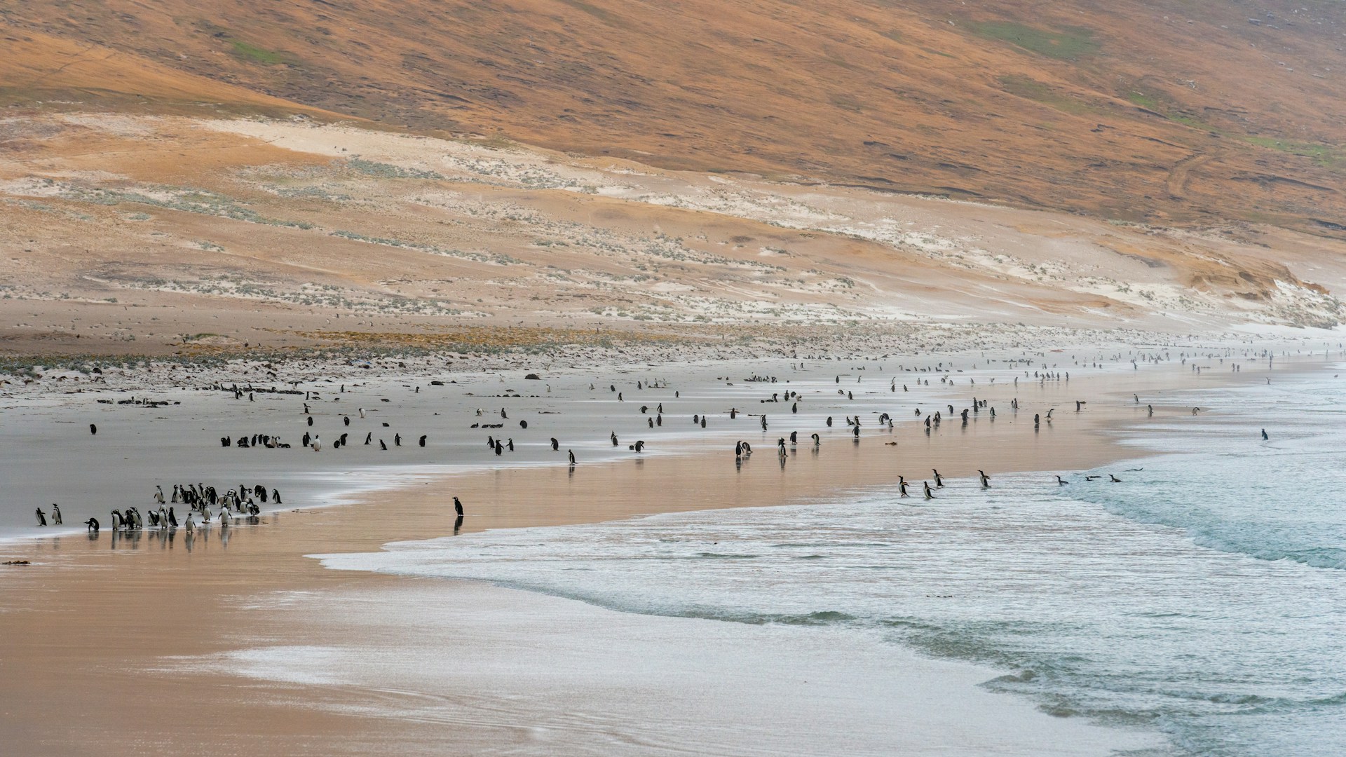Adventure Republiq Falkland Islands